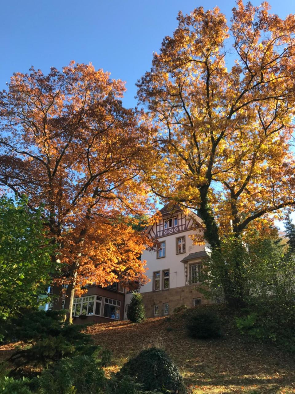 Waldhotel Бад Мюнстерайфел Екстериор снимка
